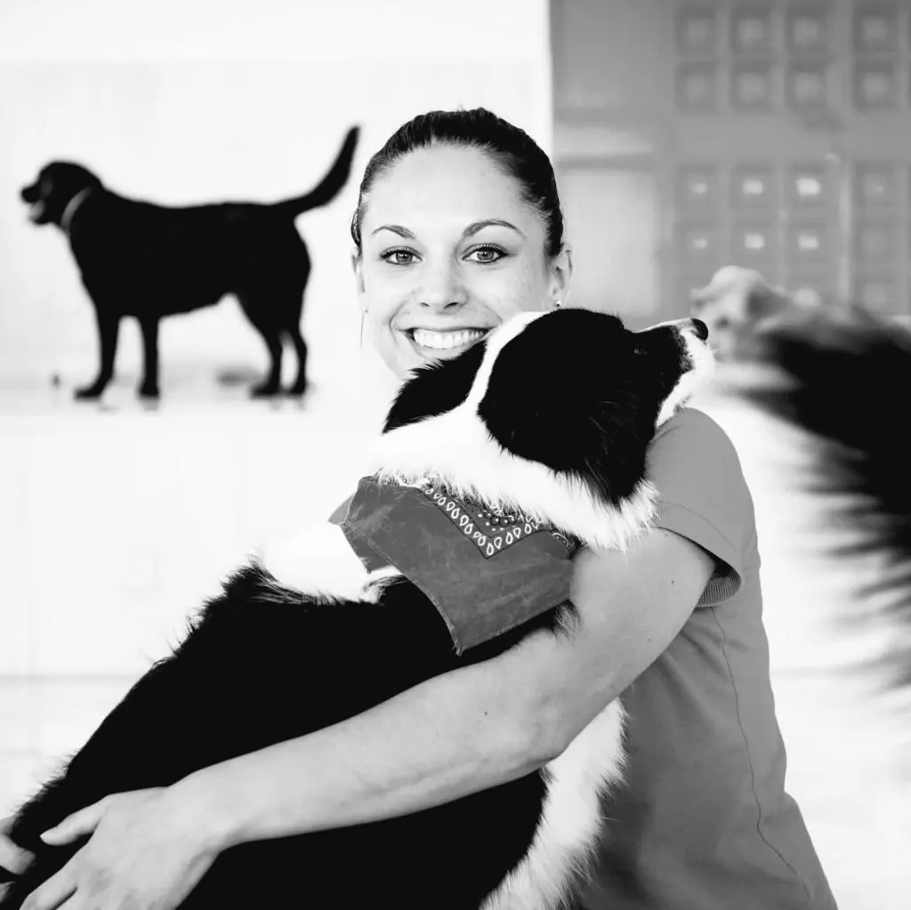 Trufitas Peluqueria Canina Las Rozas