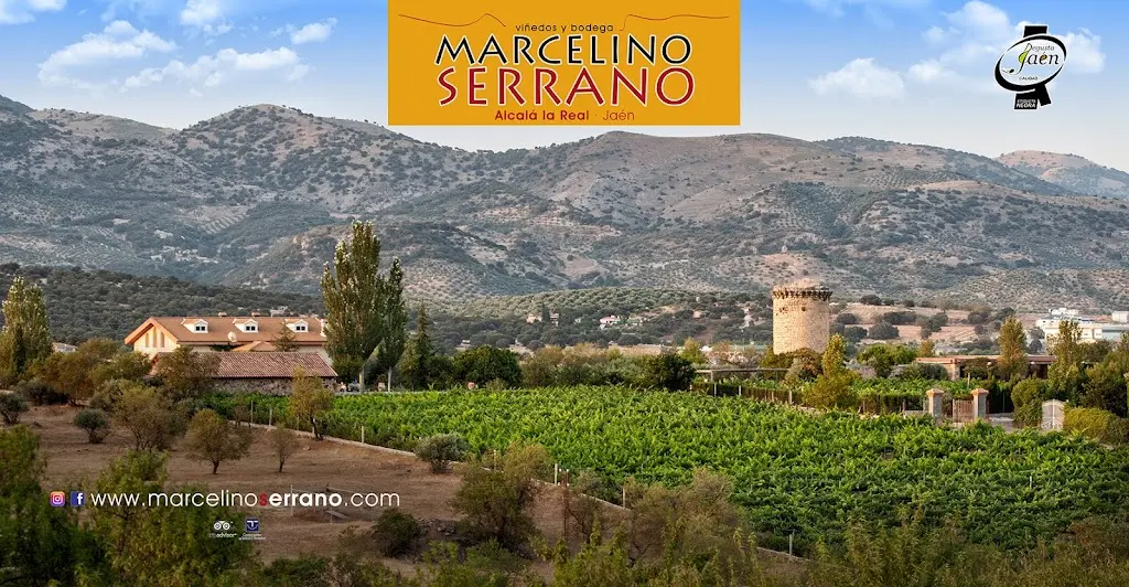 BODEGA: Vinedos y Bodega Marcelino Serrano