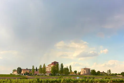 Bodegas y Vinedos La Mejorada