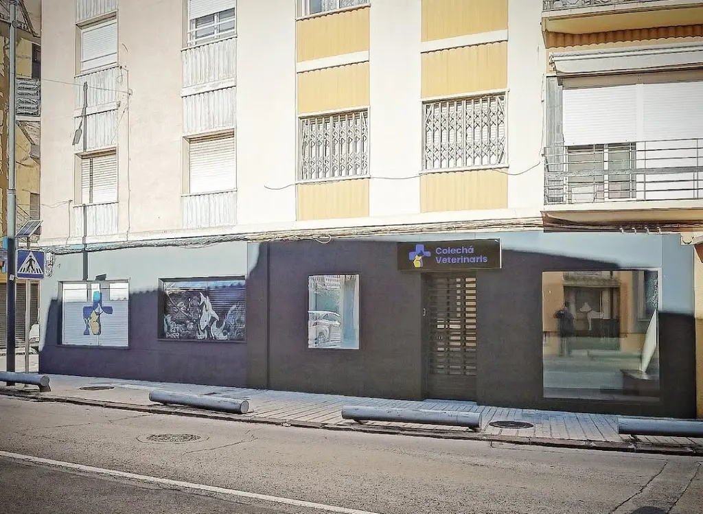 Centre Veterinari Vicent Colecha