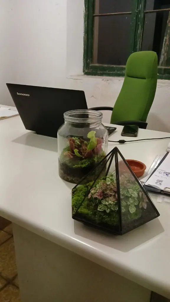 La Estacion Servicios Medioambientales SA