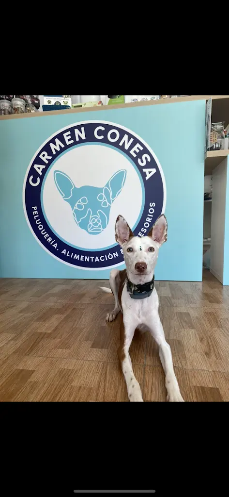 CARMEN CONESA