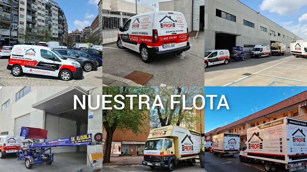 Mudanzas Profi SL