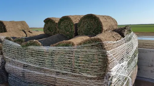 NOVA GESPA Cesped Natural y Artificial Jardineria Lleida