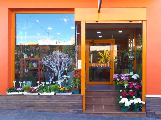 Flors Mateu