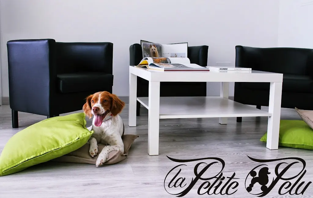 La Petite Pelu-Salon de Peluqueria Canina y Spa