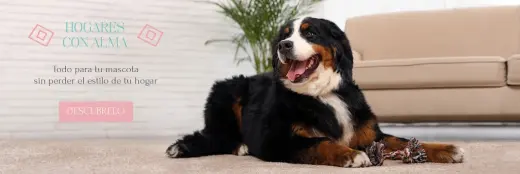 Amarok Pet Shop