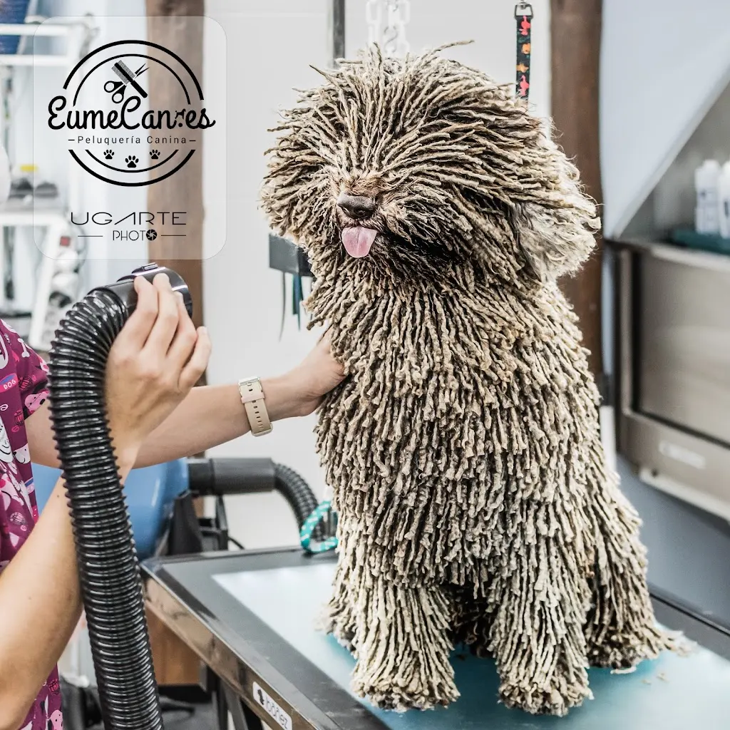 EumeCan Peluqueria Canina