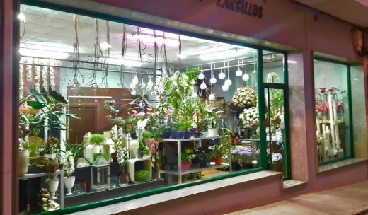 Floristeria Zarcillos