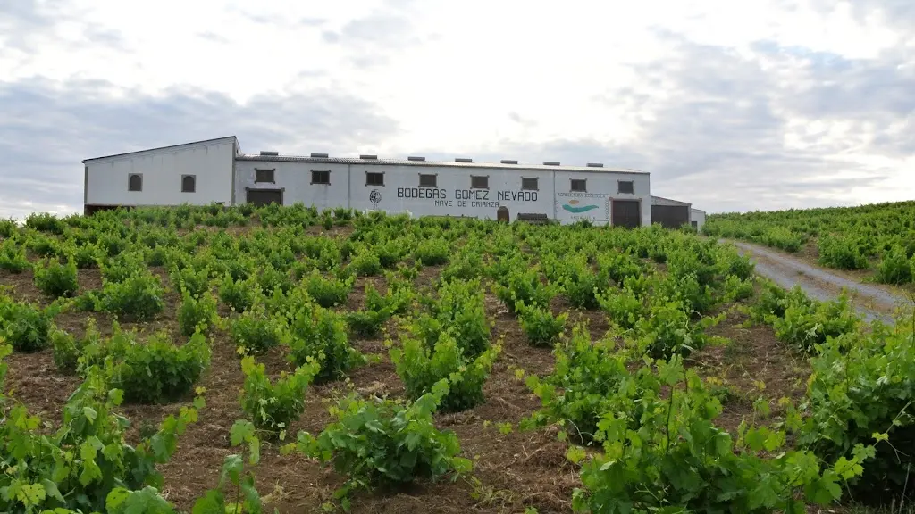 Bodegas Gomez Nevado S.L.