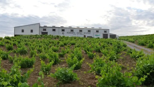 Bodegas Gomez Nevado S.L.