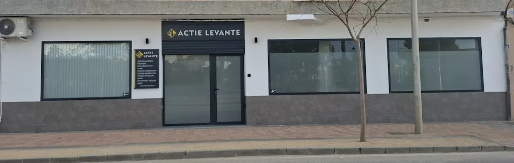Actie Levante