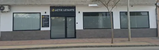 Actie Levante