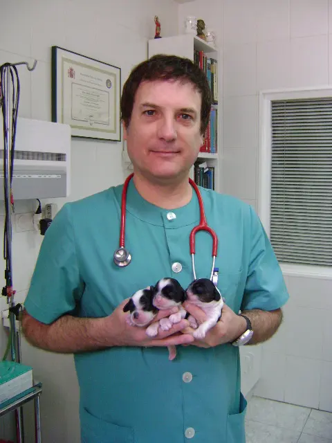 Clinica Veterinaria Alierta