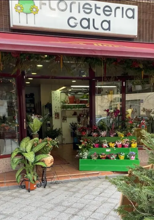 Floristeria Gala