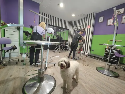 J'a Dog Store & Grooming