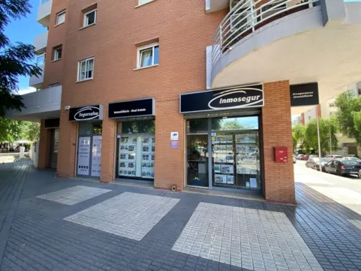 Inmosegur