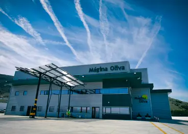 MAGINA OLIVA, S.L. - MOliva Bodega - MOliva Laboratorio