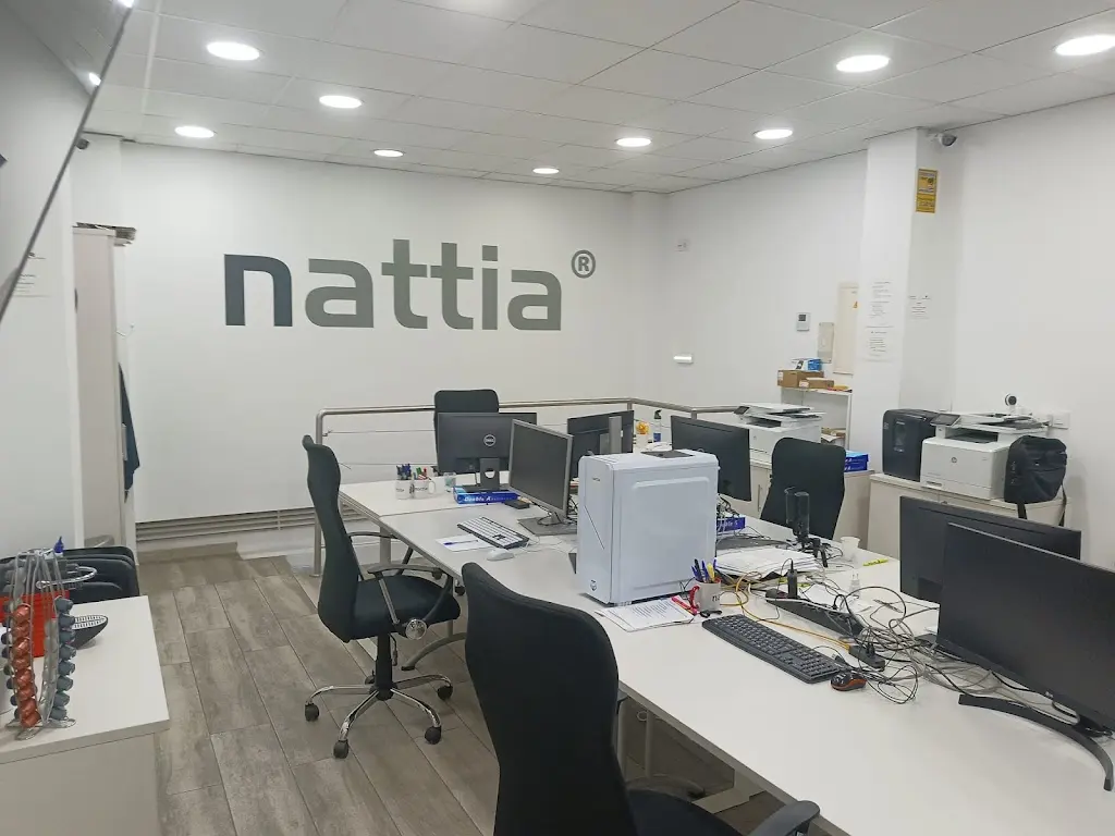 NATTIA Consultoria Informatica