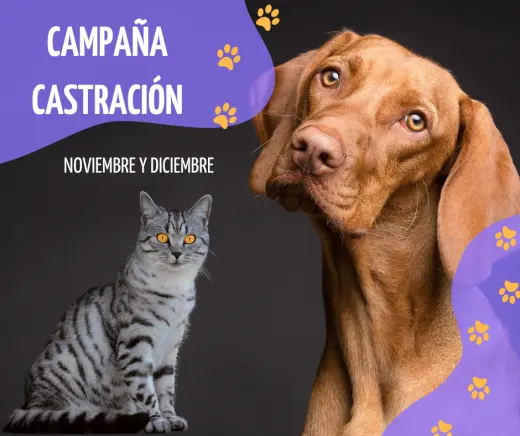 Huellas Centro Veterinario