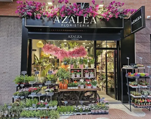 Floristeria Azalea