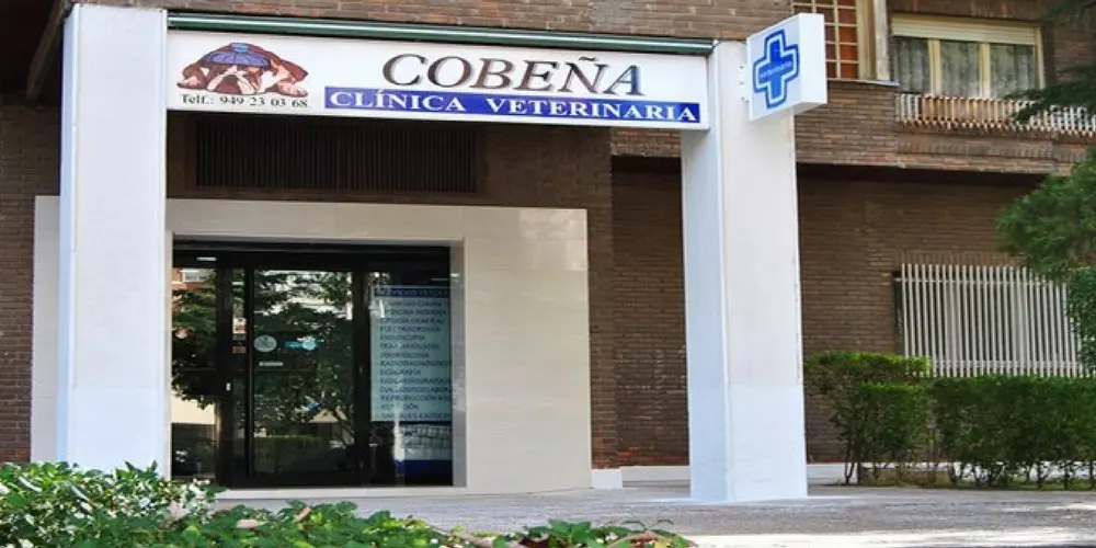 Veterinary Clinic Cobena