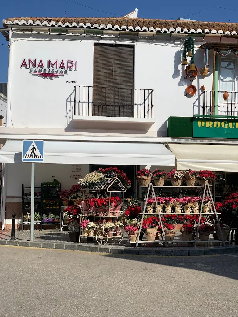 Ana Mari Floristas