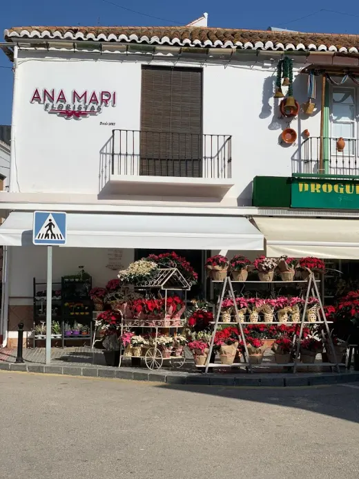 Ana Mari Floristas