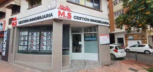 M.S GESTION INMOBILIARIA