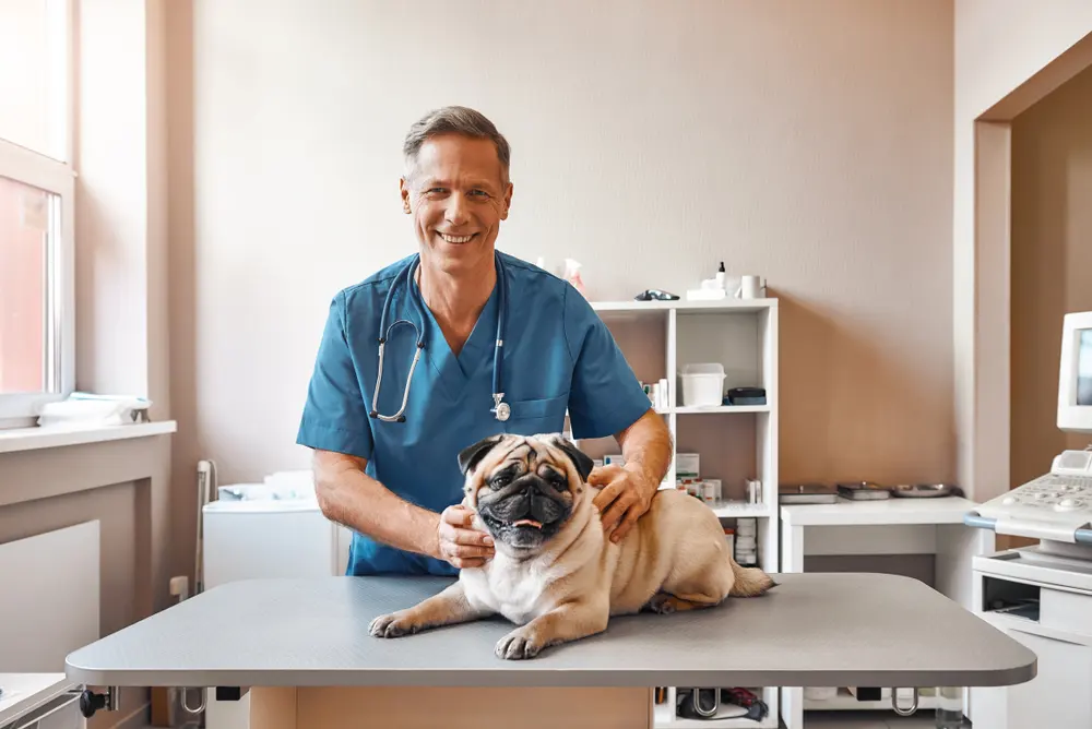 Clinica Veterinaria Tafi