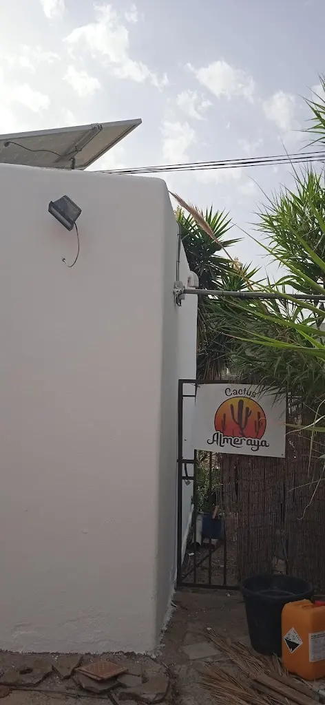 Vivero de Cactus y Suculentas Online - Envio GRATIS Espana - Cactus Almeraya