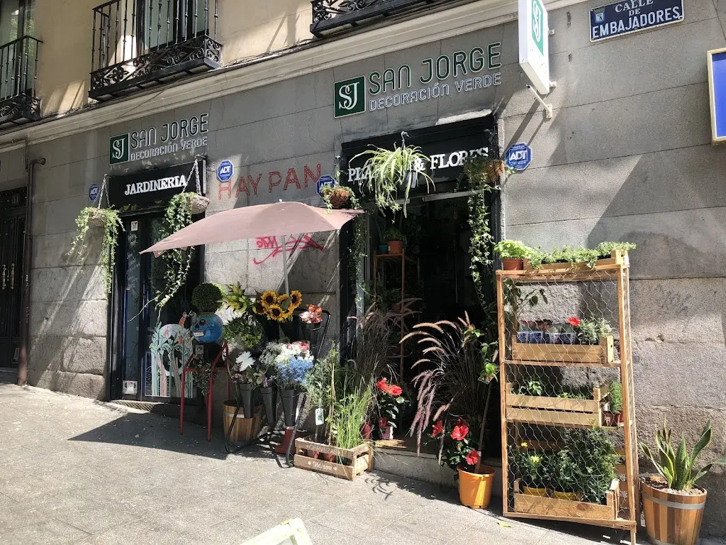 San Jorge Decoracion Verde