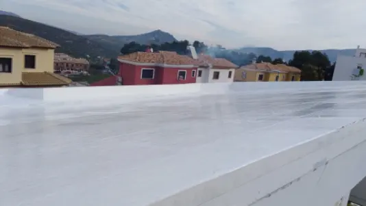 Pintores y Reformas Granada Adolfo Ferrer