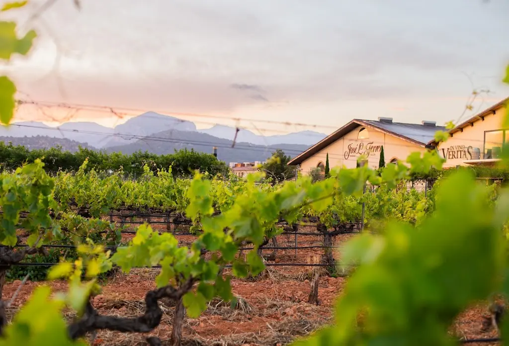 Bodegas Jose L. Ferrer