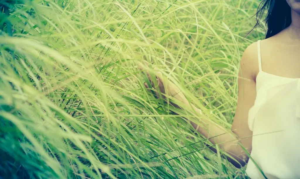 Lovely Wedding Films. Video y fotografia de bodas