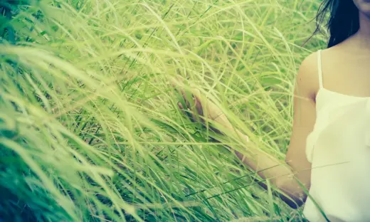 Lovely Wedding Films. Video y fotografia de bodas