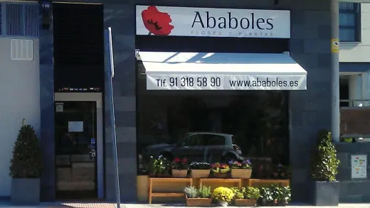 Ababoles Floristeria