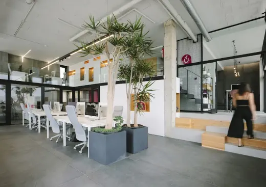 Curcuma Agencia Creativa