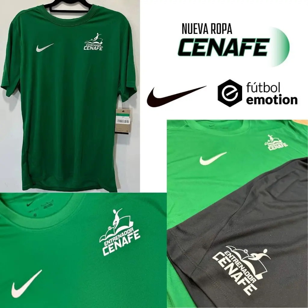CENAFE
