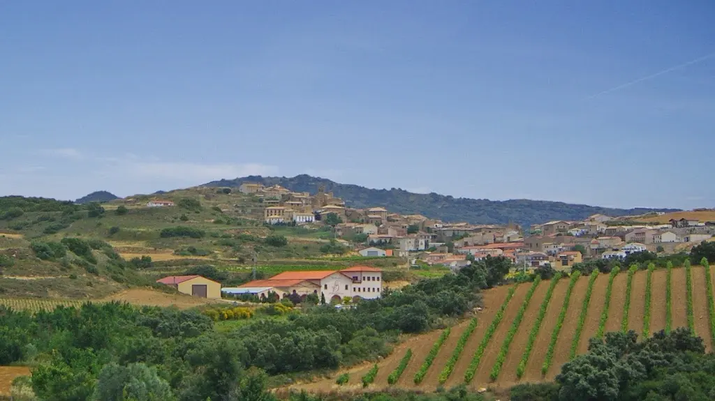 Bodegas Beramendi S.L.