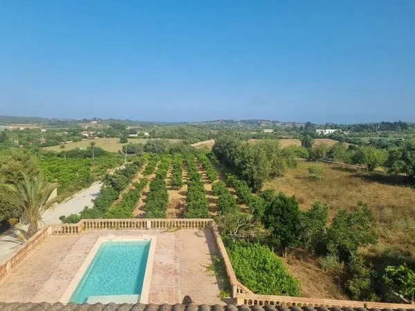 Inmobiliaria javieryelennys