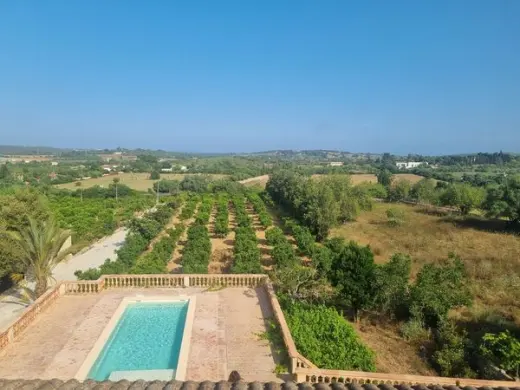 Inmobiliaria javieryelennys