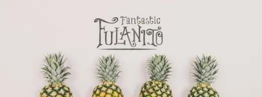 Fantastic Fulanito