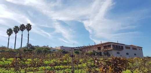 Bodega El Lomo (AFECAN, S.A.)