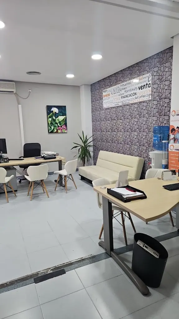 Grupo Inmobiliario Del Sur