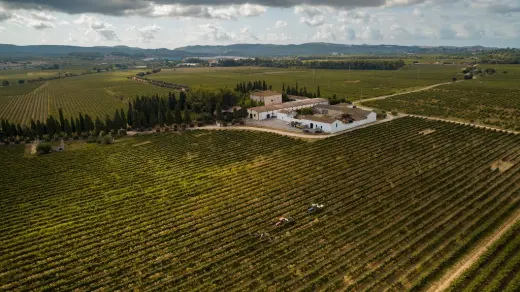 Bodega Oriol Rossell