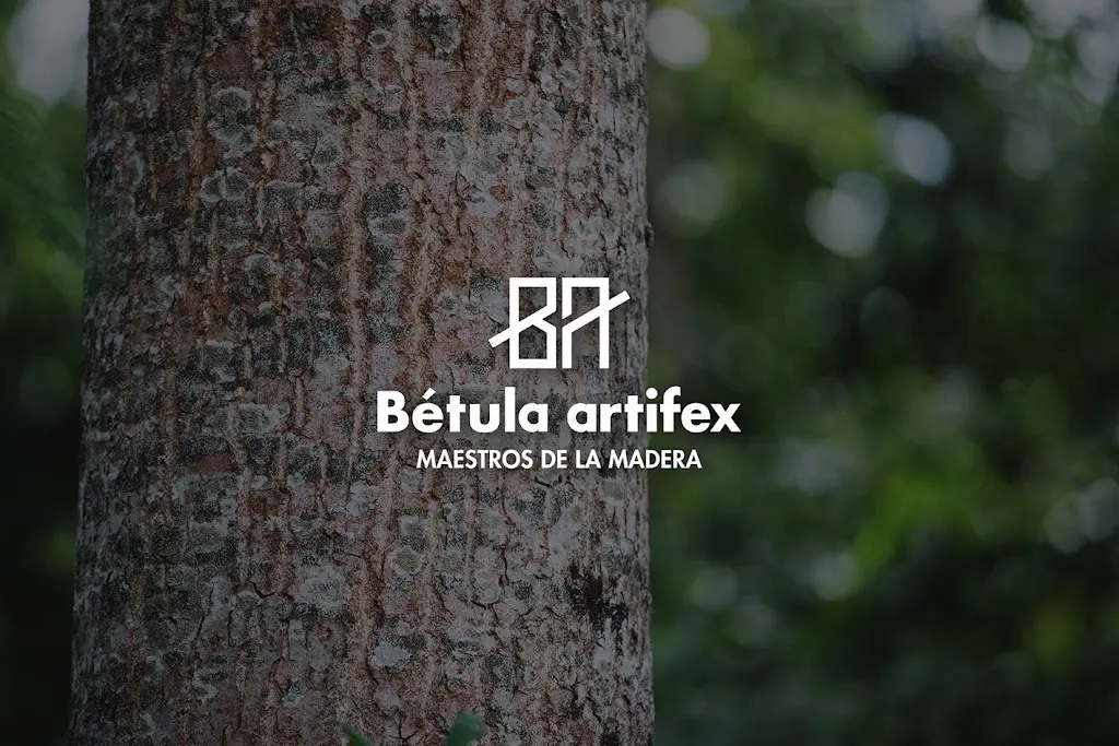 Betula Artifex