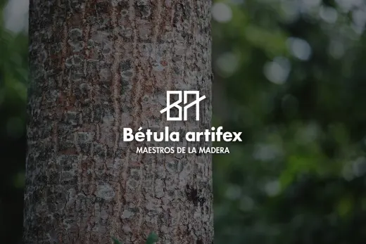Betula Artifex