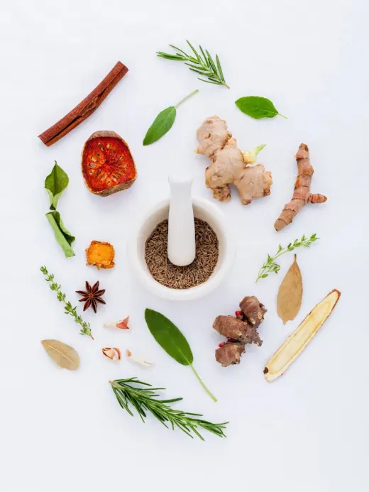 Solesio Nutricion