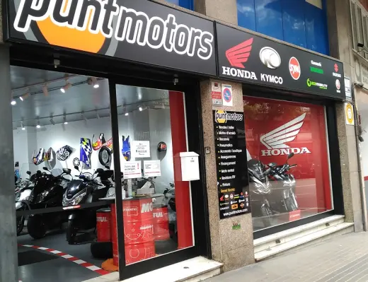 Puntmotors